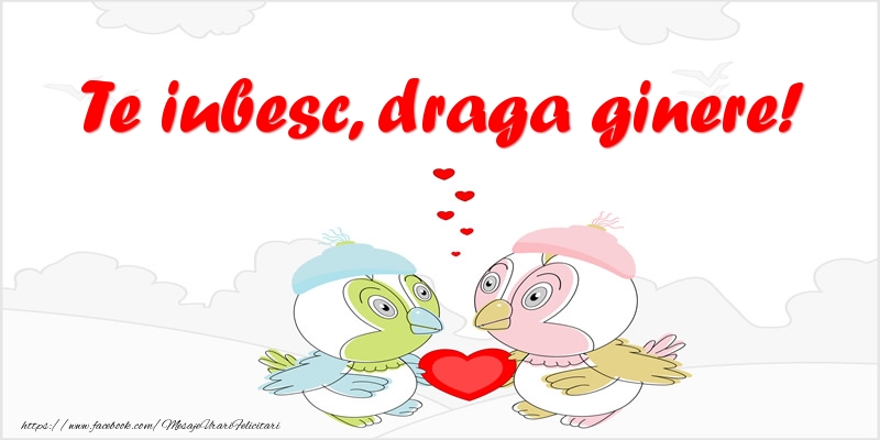 Felicitari de dragoste pentru Ginere - Te iubesc, draga ginere!
