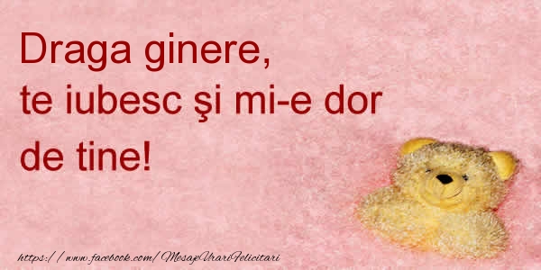 Felicitari de dragoste pentru Ginere - Draga ginere te iubesc si mi-e dor de tine!