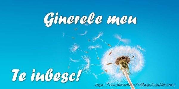 Felicitari de dragoste pentru Ginere - Ginerele meu Te iubesc!