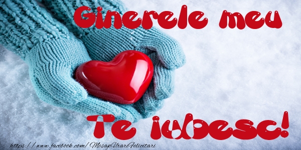 Felicitari de dragoste pentru Ginere - Ginerele meu Te iubesc!