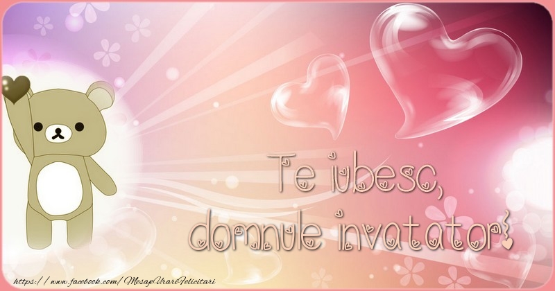 Felicitari de dragoste pentru Invatator - Te iubesc, domnule invatator!