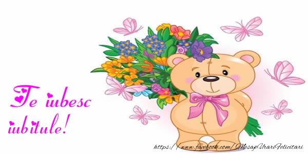 Felicitari de dragoste pentru Iubit - Te iubesc iubitule!
