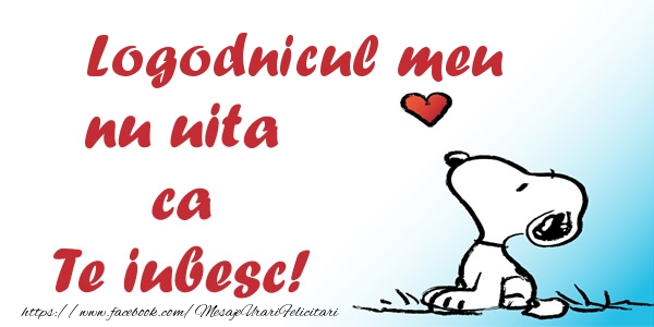 Felicitari de dragoste pentru Logodnic - Logodnicul meu nu uita ca Te iubesc!