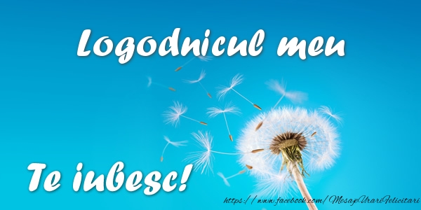 Felicitari de dragoste pentru Logodnic - Logodnicul meu Te iubesc!