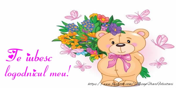 Felicitari de dragoste pentru Logodnic - Te iubesc logodnicul meu!