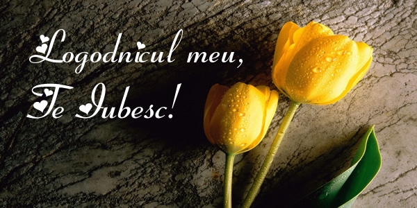 Felicitari de dragoste pentru Logodnic - Logodnicul meu, Te iubesc!