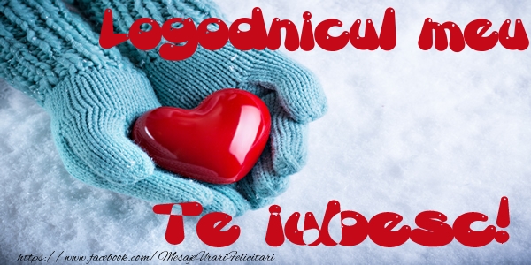 Felicitari de dragoste pentru Logodnic - Logodnicul meu Te iubesc!