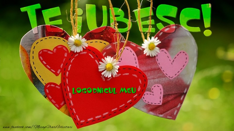 Felicitari de dragoste pentru Logodnic - Te iubesc, logodnicul meu!