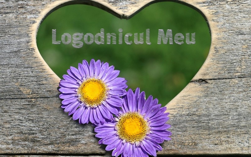 Felicitari de dragoste pentru Logodnic - Logodnicul meu