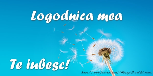 Felicitari de dragoste pentru Logodnica - Logodnica mea Te iubesc!