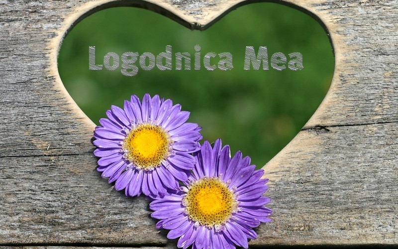 Felicitari de dragoste pentru Logodnica - Logodnica mea