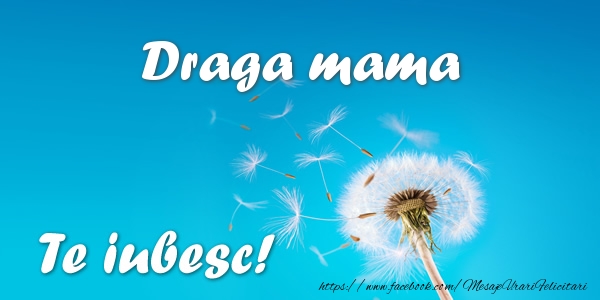Felicitari de dragoste pentru Mama - Draga mama Te iubesc!