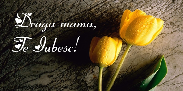 Felicitari de dragoste pentru Mama - Draga mama, Te iubesc!