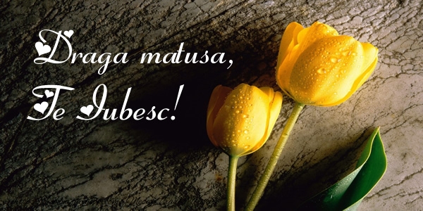 Felicitari de dragoste pentru Matusa - Draga matusa, Te iubesc!