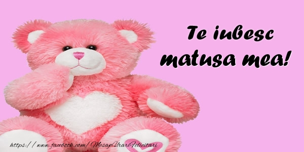 Felicitari de dragoste pentru Matusa - Te iubesc matusa mea!