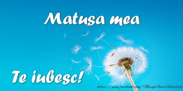 Felicitari de dragoste pentru Matusa - Matusa mea Te iubesc!