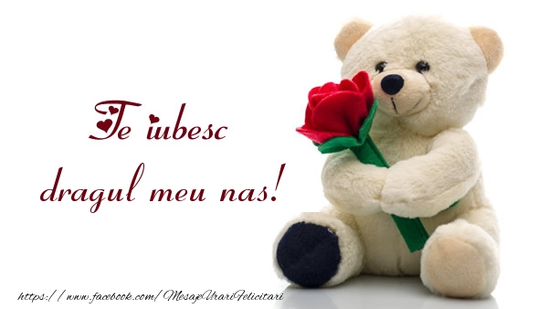 Felicitari de dragoste pentru Nas - Te iubesc dragul meu nas!