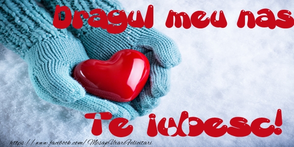 Felicitari de dragoste pentru Nas - Dragul meu nas Te iubesc!