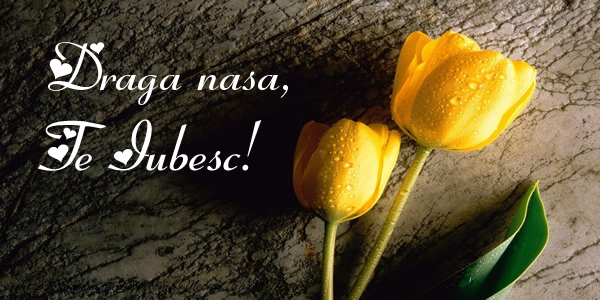 Felicitari de dragoste pentru Nasa - Draga nasa, Te iubesc!