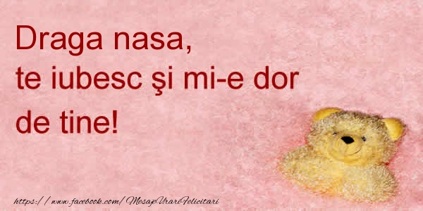 Felicitari de dragoste pentru Nasa - Draga nasa te iubesc si mi-e dor de tine!