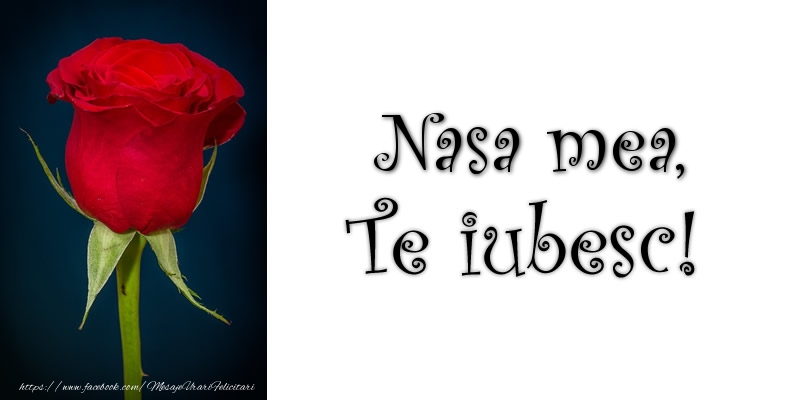 Felicitari de dragoste pentru Nasa - Nasa mea Te iubesc!