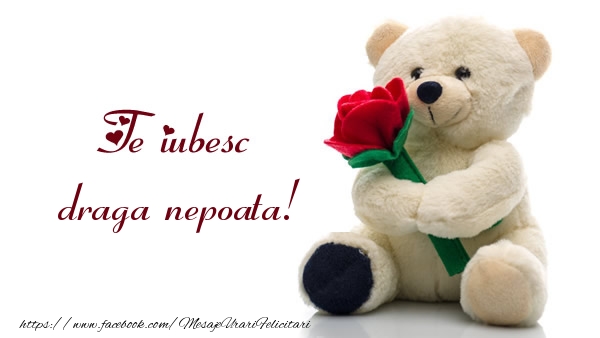 Felicitari de dragoste pentru Nepoata - Te iubesc draga nepoata!