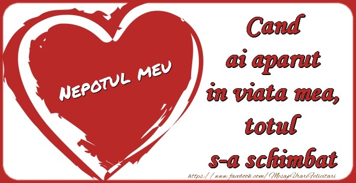 Felicitari de dragoste pentru Nepot - Nepotul meu Cand ai aparut in viata mea, totul  s-a schimbat
