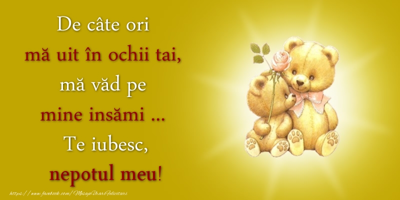 Felicitari de dragoste pentru Nepot - De câte ori  mă uit în ochii tai, mă văd pe mine insămi ...  Te iubesc, nepotul meu!