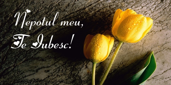 Felicitari de dragoste pentru Nepot - Nepotul meu, Te iubesc!