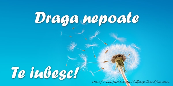 Felicitari de dragoste pentru Nepot - Draga nepoate Te iubesc!