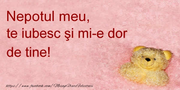 Felicitari de dragoste pentru Nepot - Nepotul meu te iubesc si mi-e dor de tine!