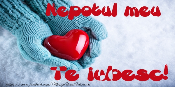 Felicitari de dragoste pentru Nepot - Nepotul meu Te iubesc!
