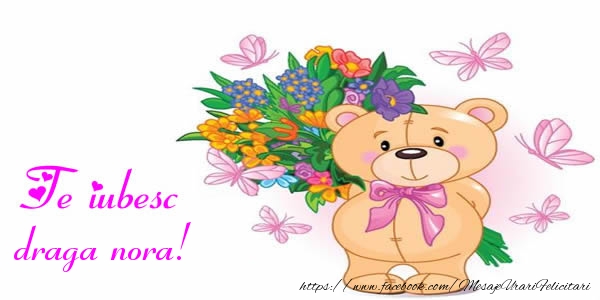 Felicitari de dragoste pentru Nora - Te iubesc draga nora!