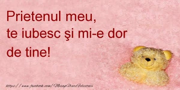 Felicitari de dragoste pentru Prieten - Prietenul meu te iubesc si mi-e dor de tine!