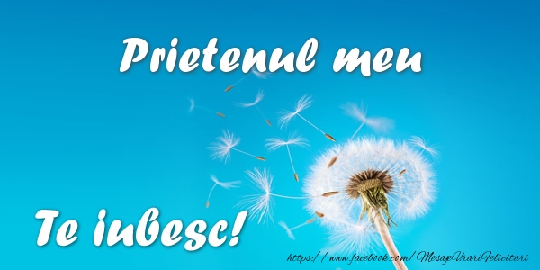 Felicitari de dragoste pentru Prieten - Prietenul meu Te iubesc!