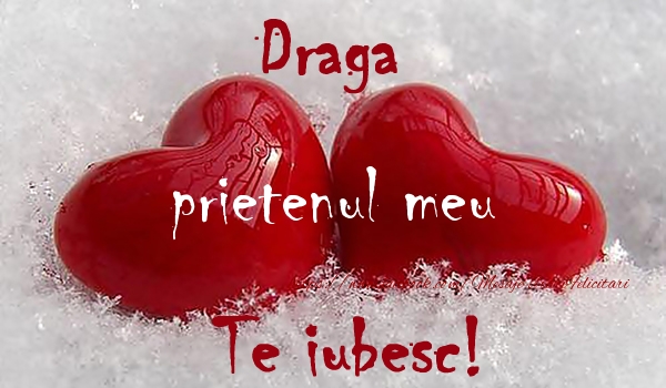 Felicitari de dragoste pentru Prieten - Draga prietenul meu Te iubesc!