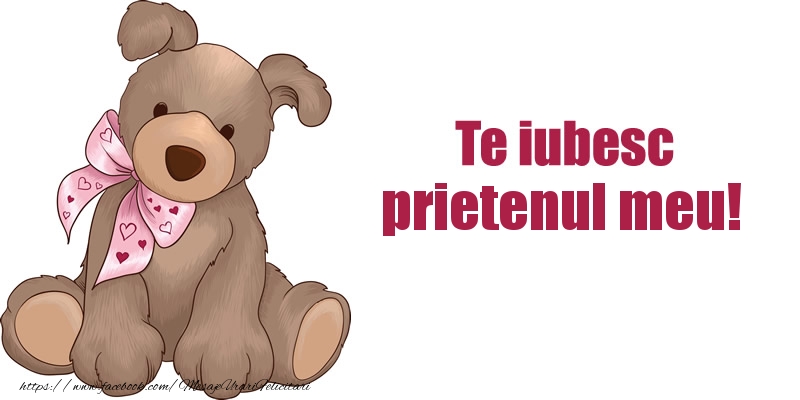 Felicitari de dragoste pentru Prieten - Te iubesc prietenul meu!
