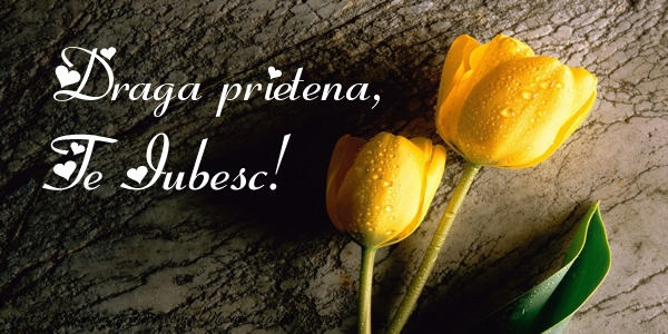 Felicitari de dragoste pentru Prietena - Draga prietena, Te iubesc!