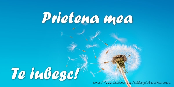 Felicitari de dragoste pentru Prietena - Prietena mea Te iubesc!