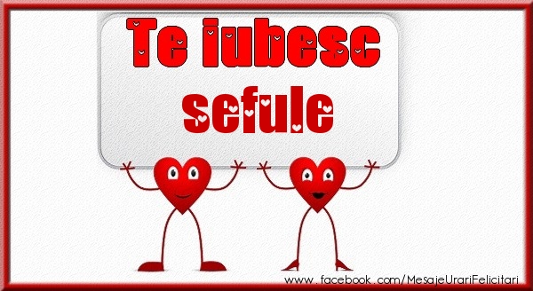 Felicitari de dragoste pentru Sef - Te iubesc sefule