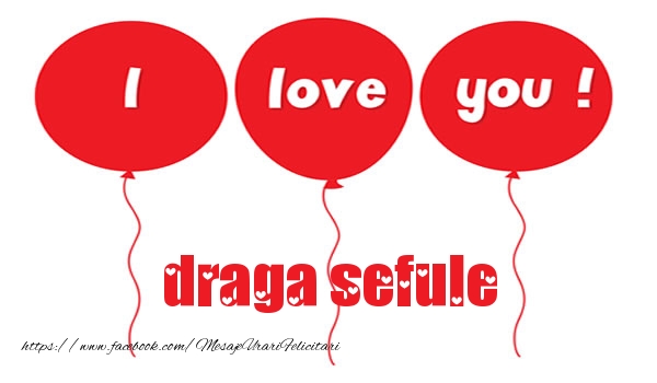 Felicitari de dragoste pentru Sef - I love you draga sefule