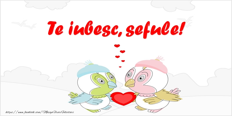 Felicitari de dragoste pentru Sef - Te iubesc, sefule!