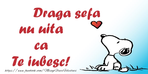 Felicitari de dragoste pentru Sefa - Draga sefa nu uita ca Te iubesc!