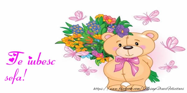 Felicitari de dragoste pentru Sefa - Te iubesc sefa!