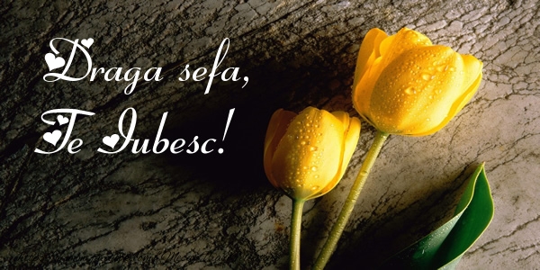 Felicitari de dragoste pentru Sefa - Draga sefa, Te iubesc!