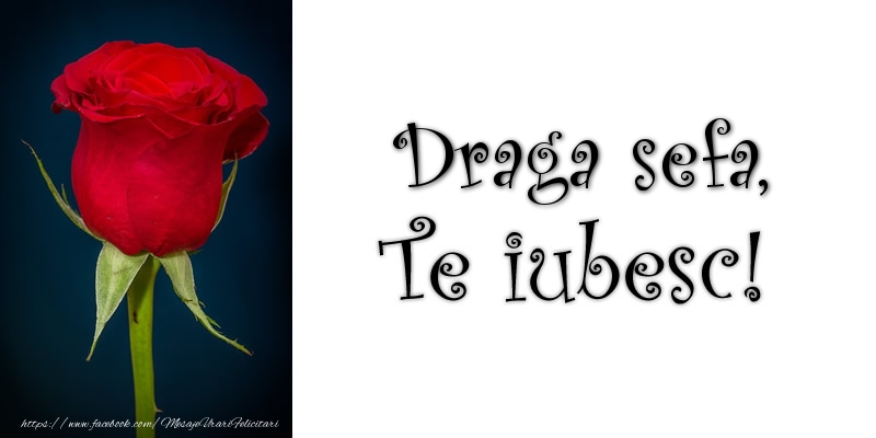 Felicitari de dragoste pentru Sefa - Draga sefa Te iubesc!