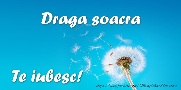 Felicitari de dragoste pentru Soacra - Draga soacra Te iubesc!