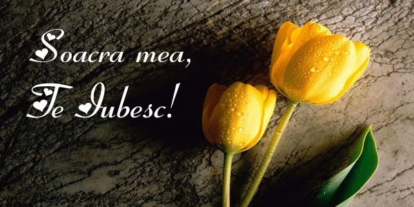 Felicitari de dragoste pentru Soacra - Soacra mea, Te iubesc!