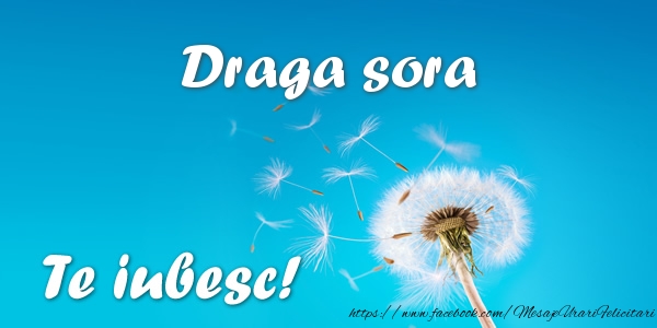 Felicitari de dragoste pentru Sora - Sora mea Te iubesc!