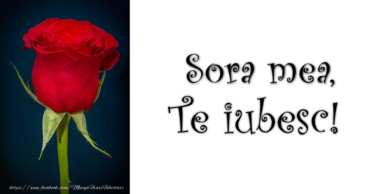Felicitari de dragoste pentru Sora - Draga sora Te iubesc!